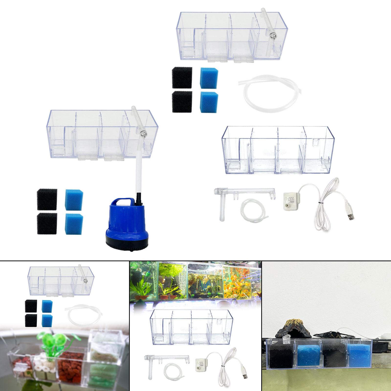 Box Fish In Aquarium - Fish Tank External Filter Box Aquarium