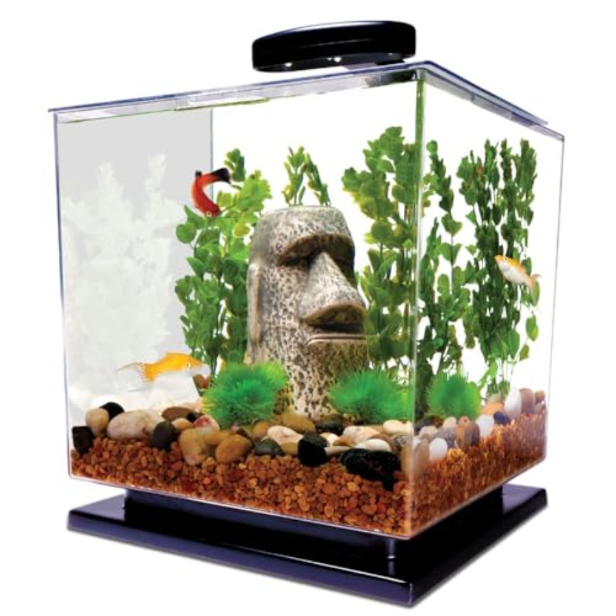 Aquarium Fish Goldfish - 3 Gallon Fish Tank Aquarium Starter