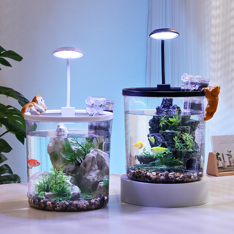 Aquarium Fish Goldfish - Compact Round Goldfish Bowl - Oxygenated