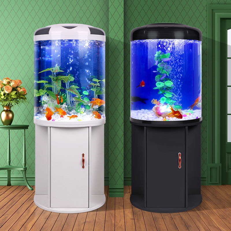 Aquarium Fish Goldfish - Fish tank living room Semicircular aquarium