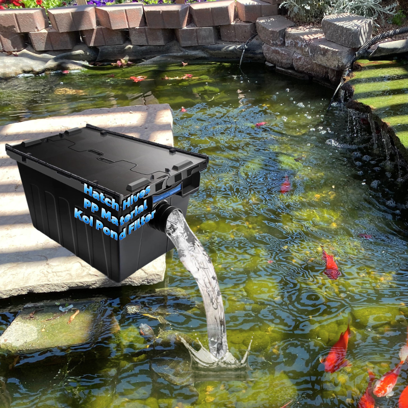 Box Fish In Aquarium - Koi Pond Clear Water Solution PP