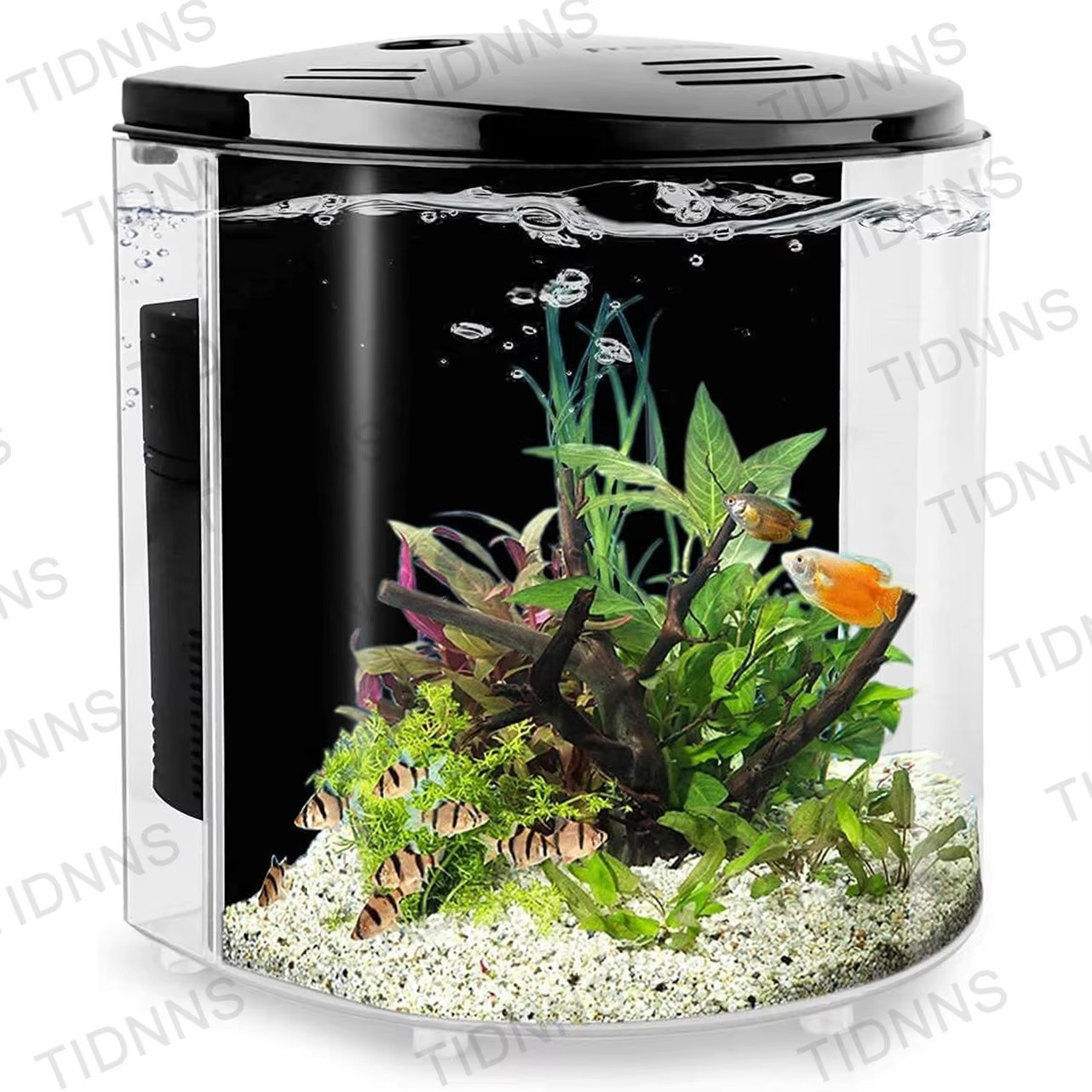 Aquarium Fish Goldfish - Desktop Small Fish Tank Living Room