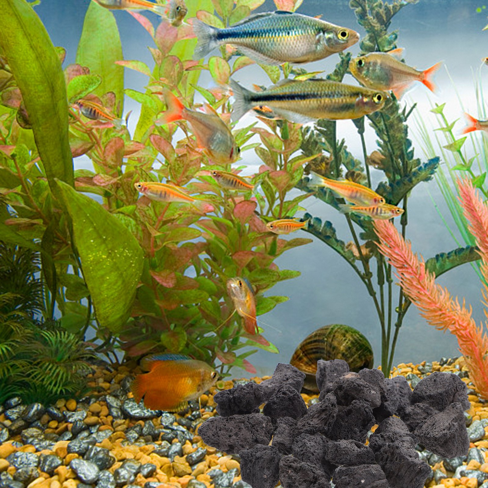 Aquarium Decoration Rock - 1Pack Volcanic Stone Fish Tank Decoration