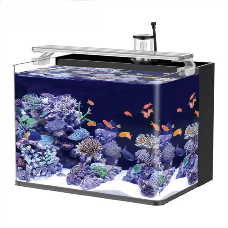 Delivery table curved seawater - огляд і ціна Aquarium Fish Delivery