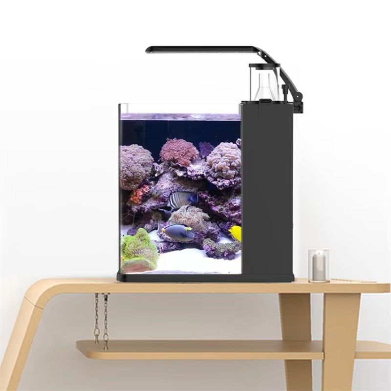 Delivery table curved seawater - огляд і ціна Aquarium Fish Delivery