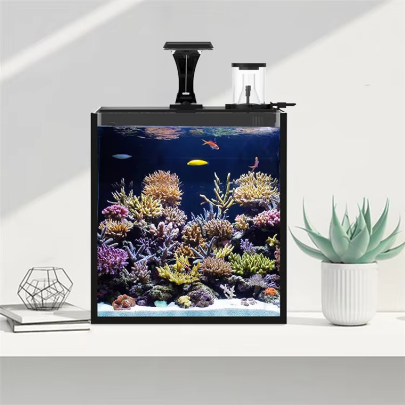 Delivery table curved seawater - огляд і ціна Aquarium Fish Delivery