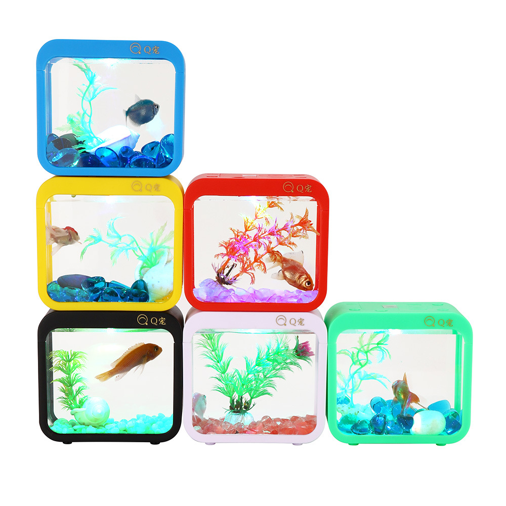 Colorful Creative Betta Box Wi - огляд і ціна Aquarium Fish Jar