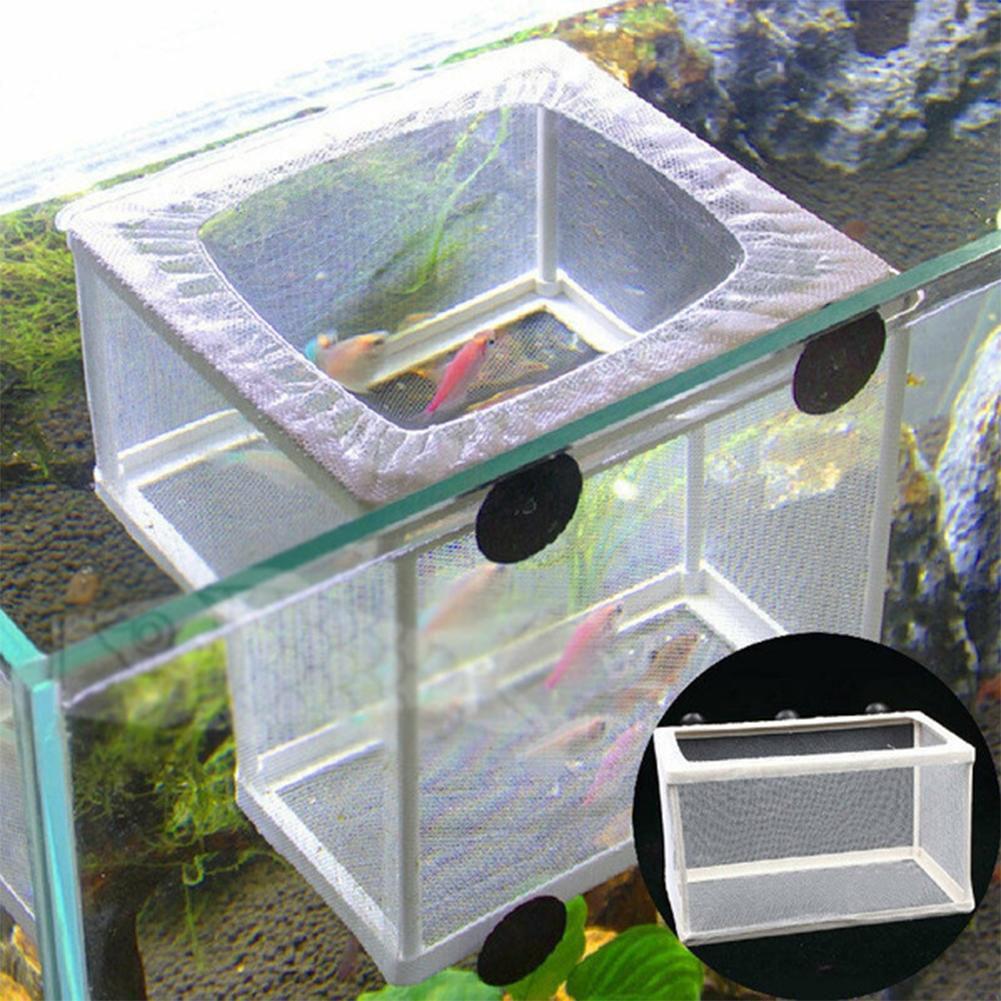 Aquarium Fish Breeder Box with - огляд і ціна Aquarium Fish Jar