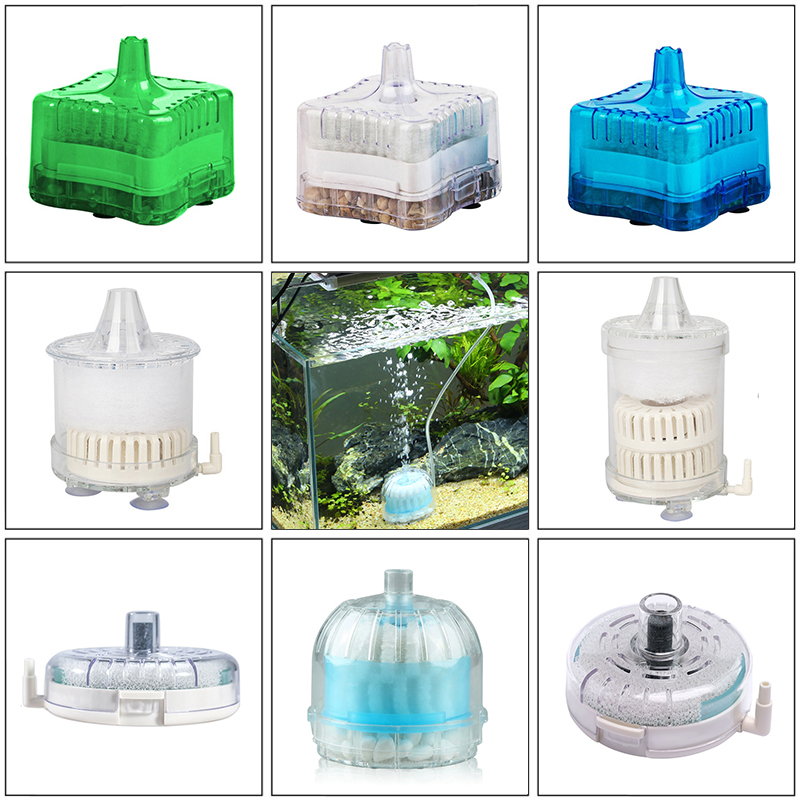 Mini Aquarium Spong Filter Air - огляд і ціна Box Fish In Aquarium