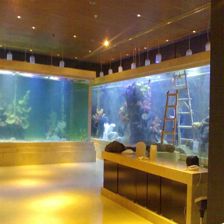 Acrylic Big Fish Tank Rectangl - огляд і ціна Aquarium Fish Big Size
