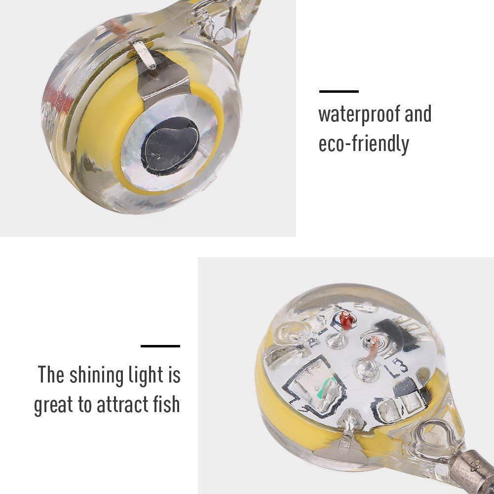 10pcs LED Attracting Fish Ligh - огляд і ціна Aquarium Fish Diseases