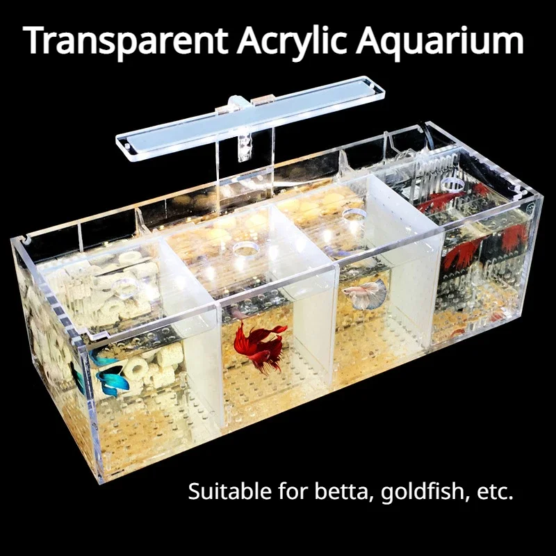 Acrylic Aquarium Isolation Fis - огляд і ціна Aquarium Fish Goldfish