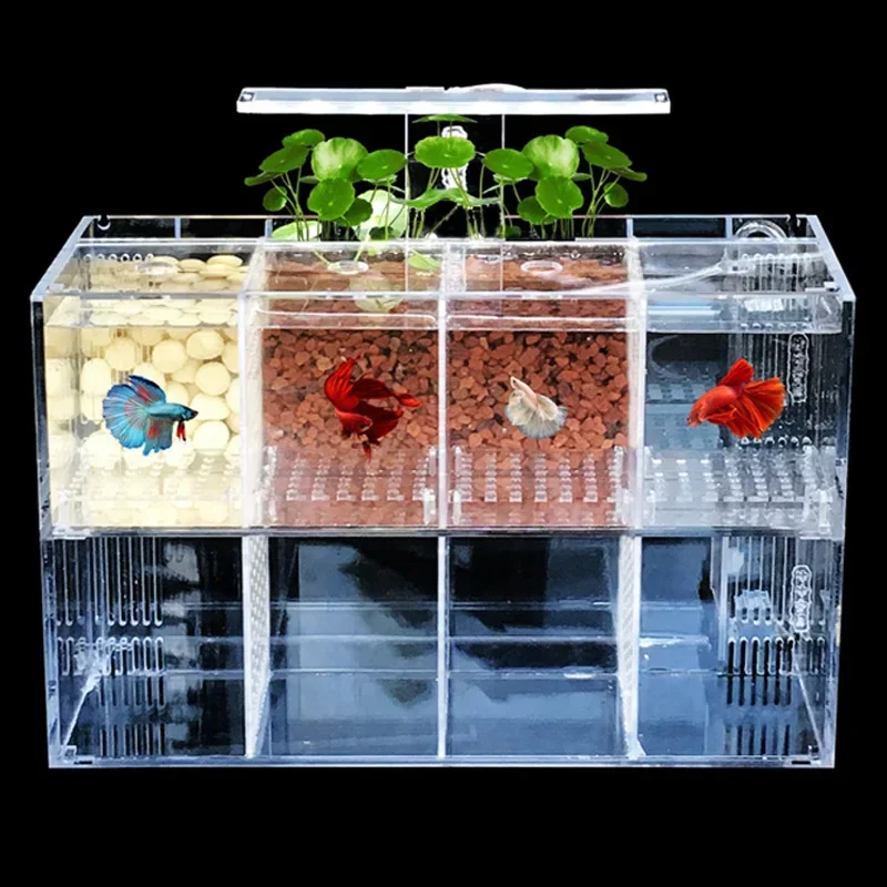 Acrylic Aquarium Isolation Fis - огляд і ціна Aquarium Fish Goldfish