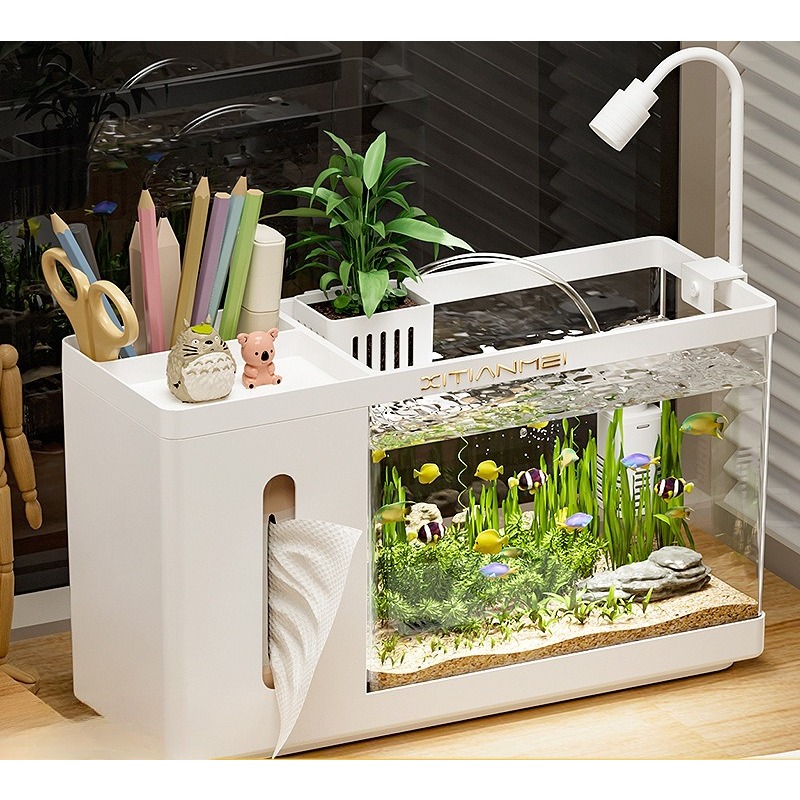 Household tissue box fish tank - огляд і ціна Box Fish In Aquarium
