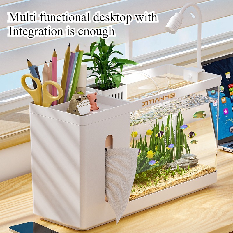 Household tissue box fish tank - огляд і ціна Box Fish In Aquarium