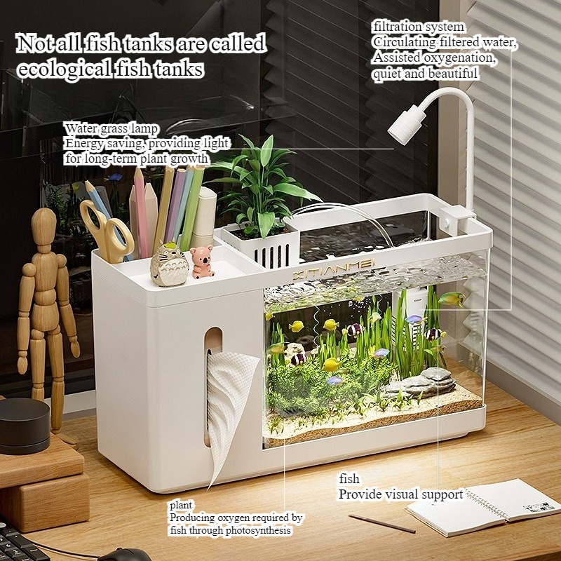 Household tissue box fish tank - огляд і ціна Box Fish In Aquarium
