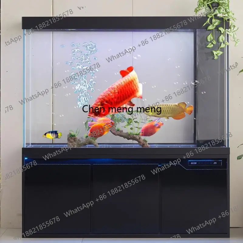 M02 Large Shrimp Aquarium Fish - огляд і ціна Aquarium Fish Goldfish