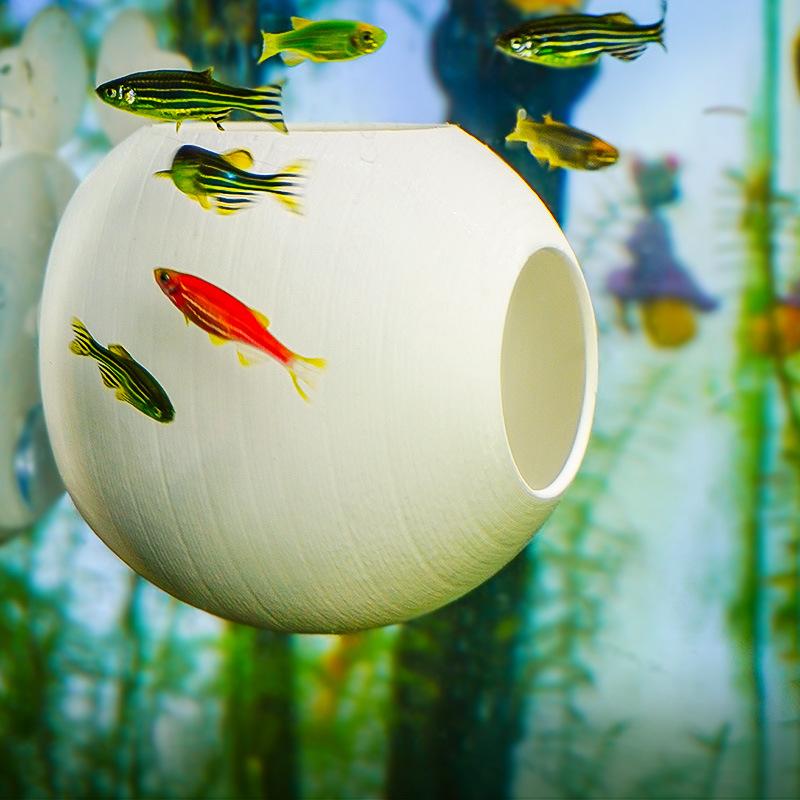 Aquarium Shrimp Dome Shelter H - огляд і ціна Aquarium Fish Hide