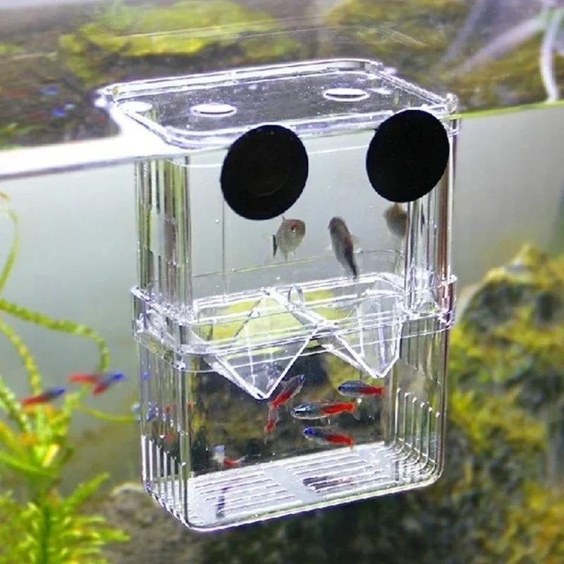 Transparent Fish Aquarium High - огляд і ціна Aquarium Fish Jar