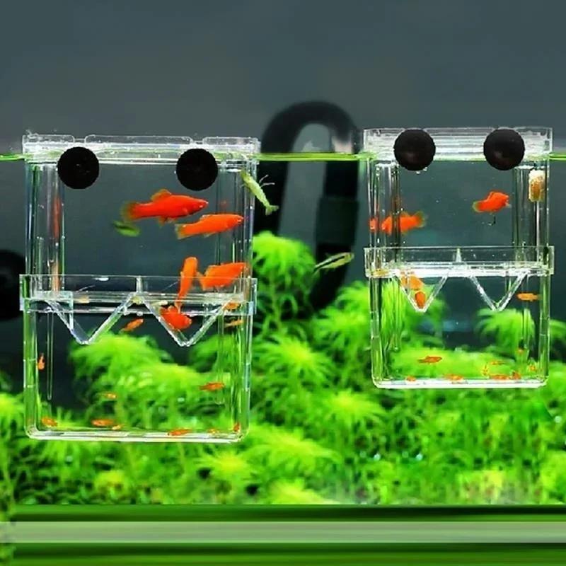 Transparent Fish Aquarium High - огляд і ціна Aquarium Fish Jar