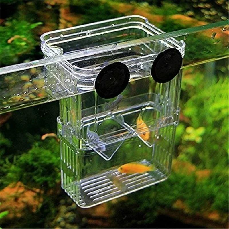 Transparent Fish Aquarium High - огляд і ціна Aquarium Fish Jar