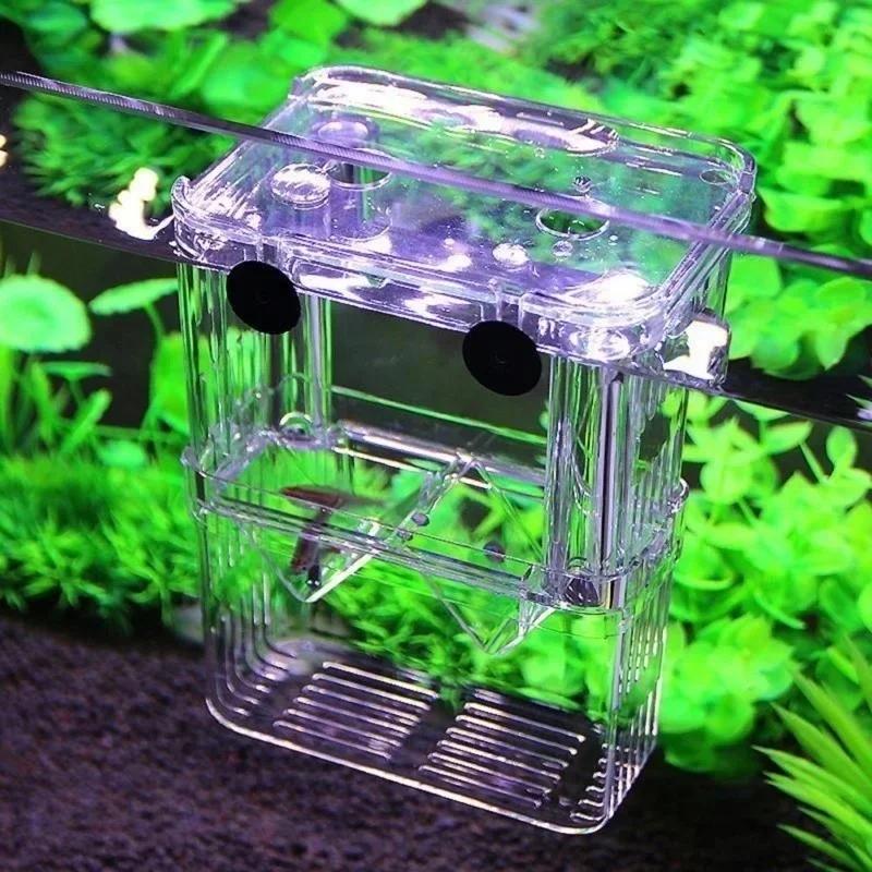 Transparent Fish Aquarium High - огляд і ціна Aquarium Fish Jar
