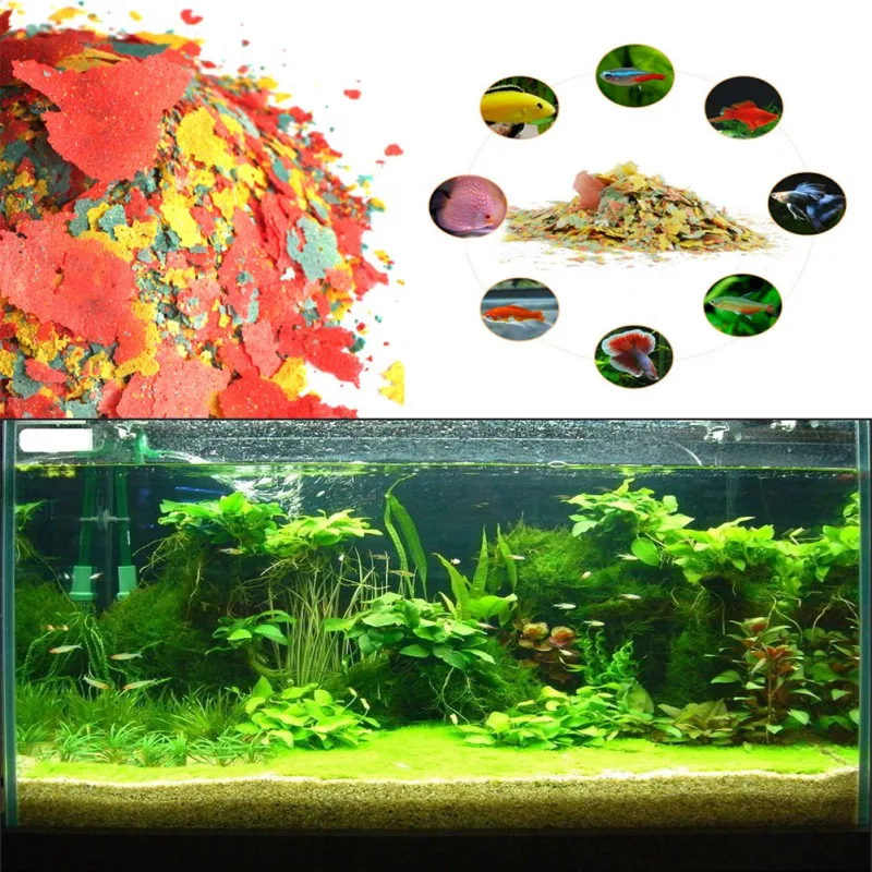 NEW Healthy Fish Food Flakes F - огляд і ціна Fish Food Flake