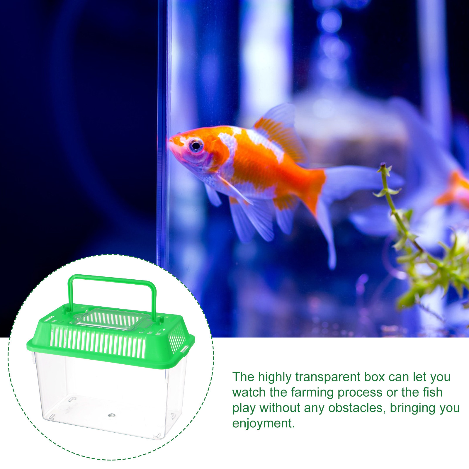 Mini Fish Tank for Pet Fish Go - огляд і ціна Aquarium Fish Goldfish