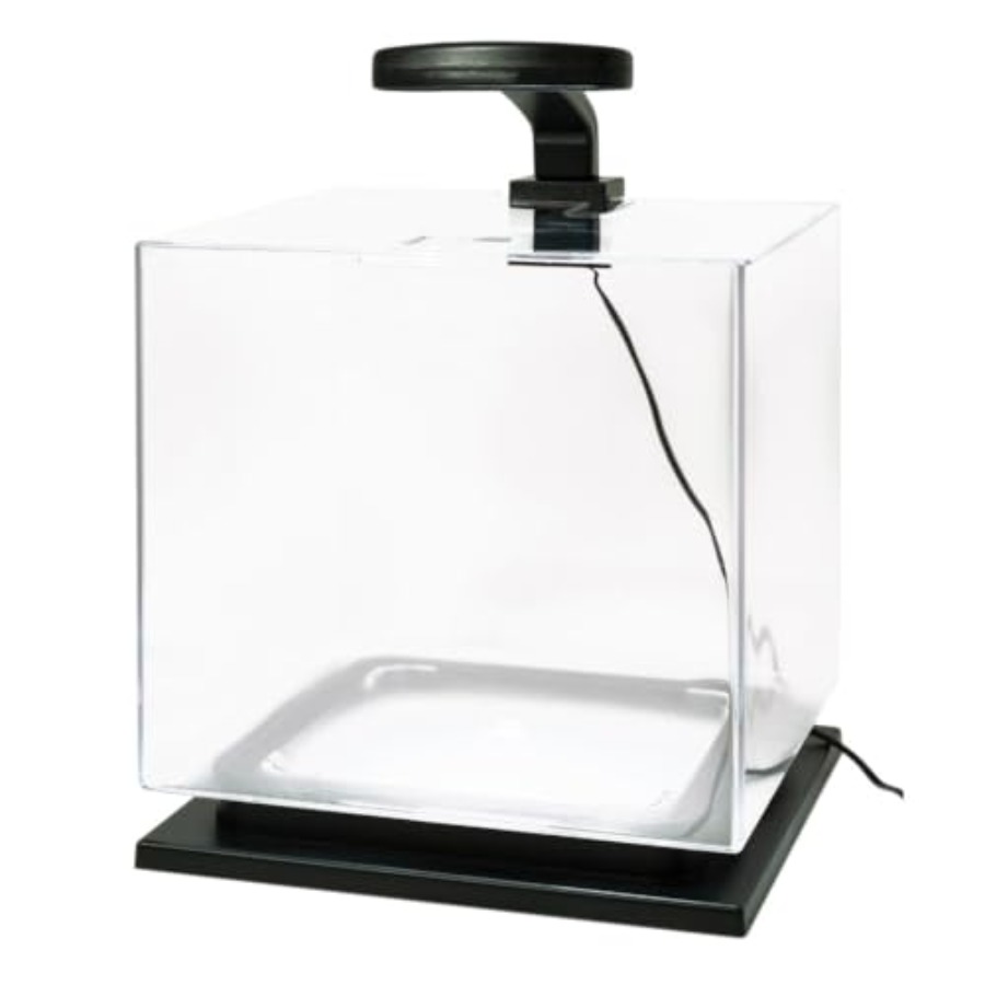 3 Gallon Fish Tank Aquarium St - огляд і ціна Aquarium Fish Goldfish