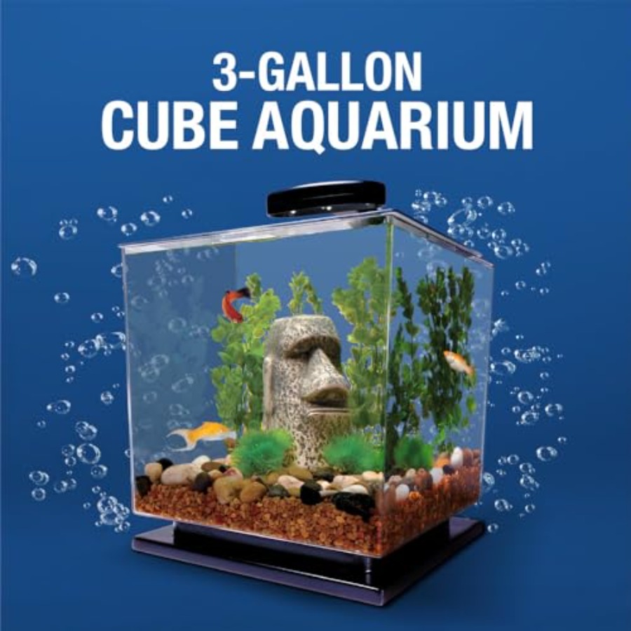 3 Gallon Fish Tank Aquarium St - огляд і ціна Aquarium Fish Goldfish