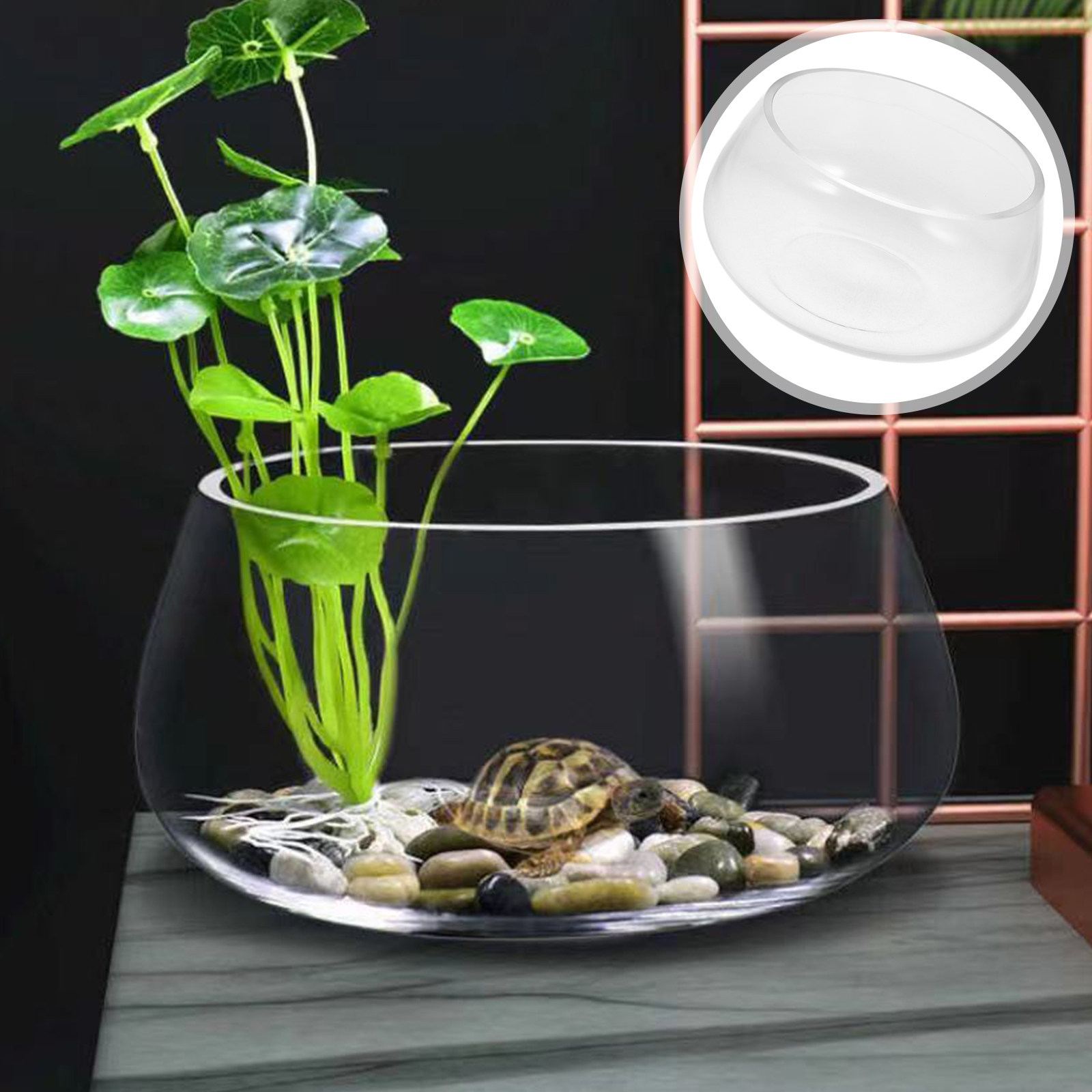 Round Mini Aquarium Tank Clear - огляд і ціна Aquarium Fish Goldfish