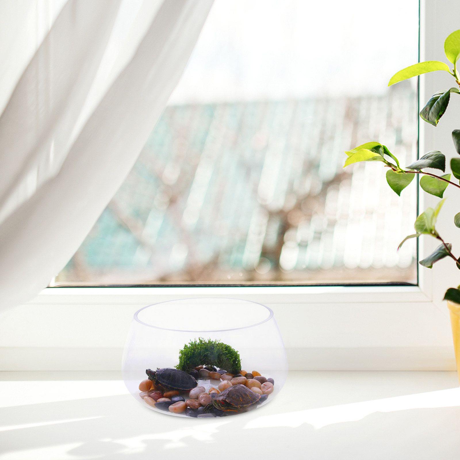 Round Mini Aquarium Tank Clear - огляд і ціна Aquarium Fish Goldfish