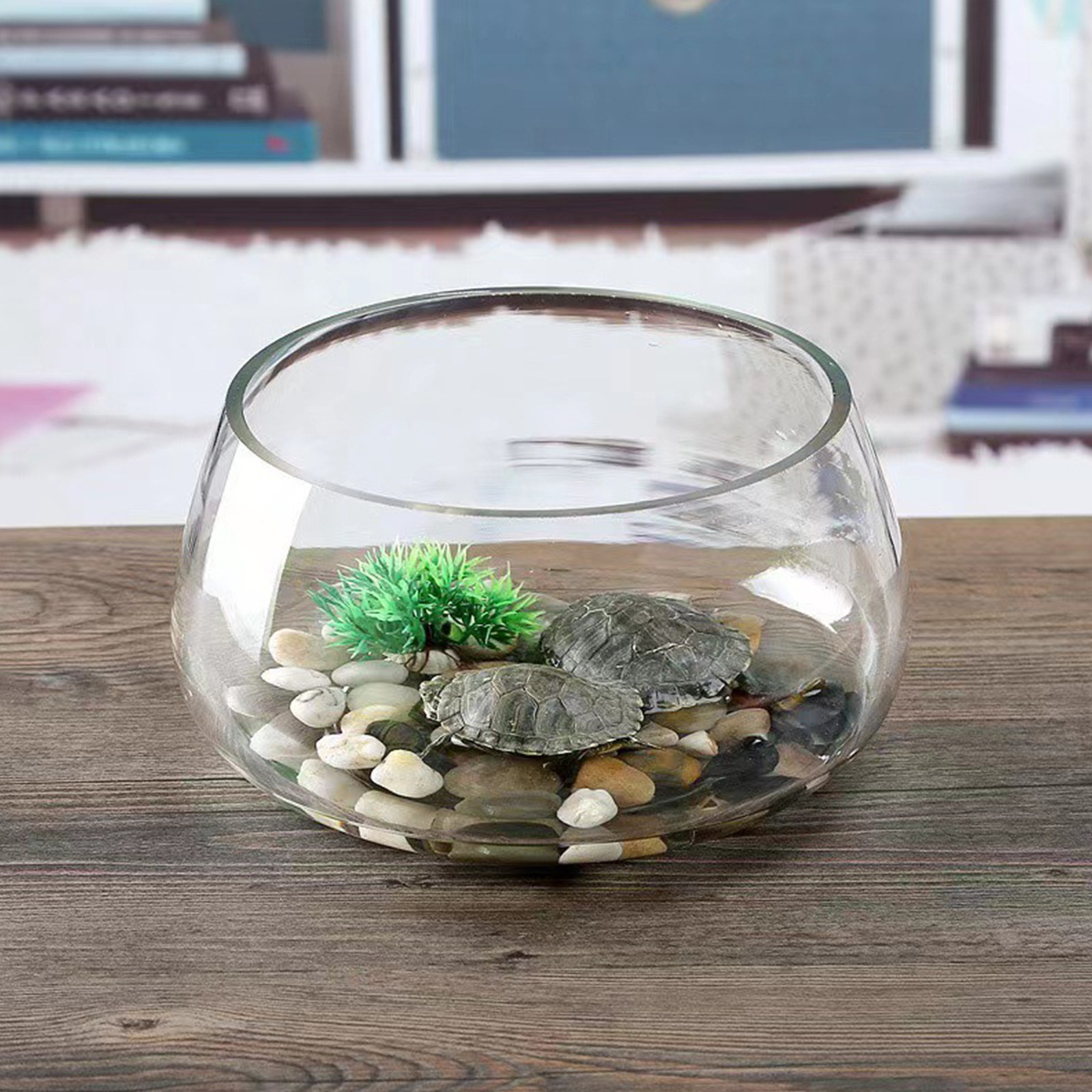 Round Mini Aquarium Tank Clear - огляд і ціна Aquarium Fish Goldfish