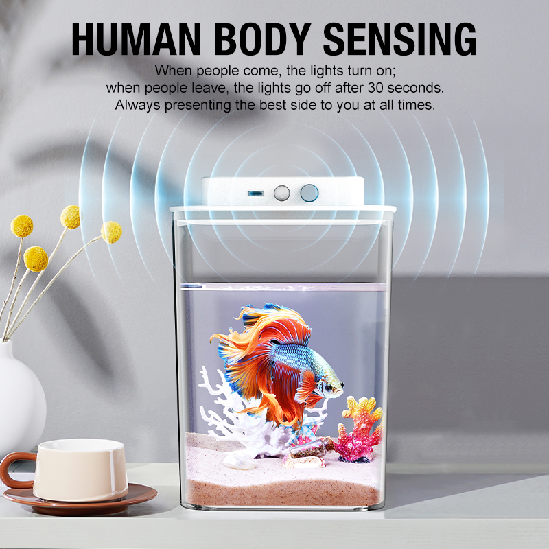 Desktop fish tank, new aquariu - огляд і ціна Aquarium Fish Jar