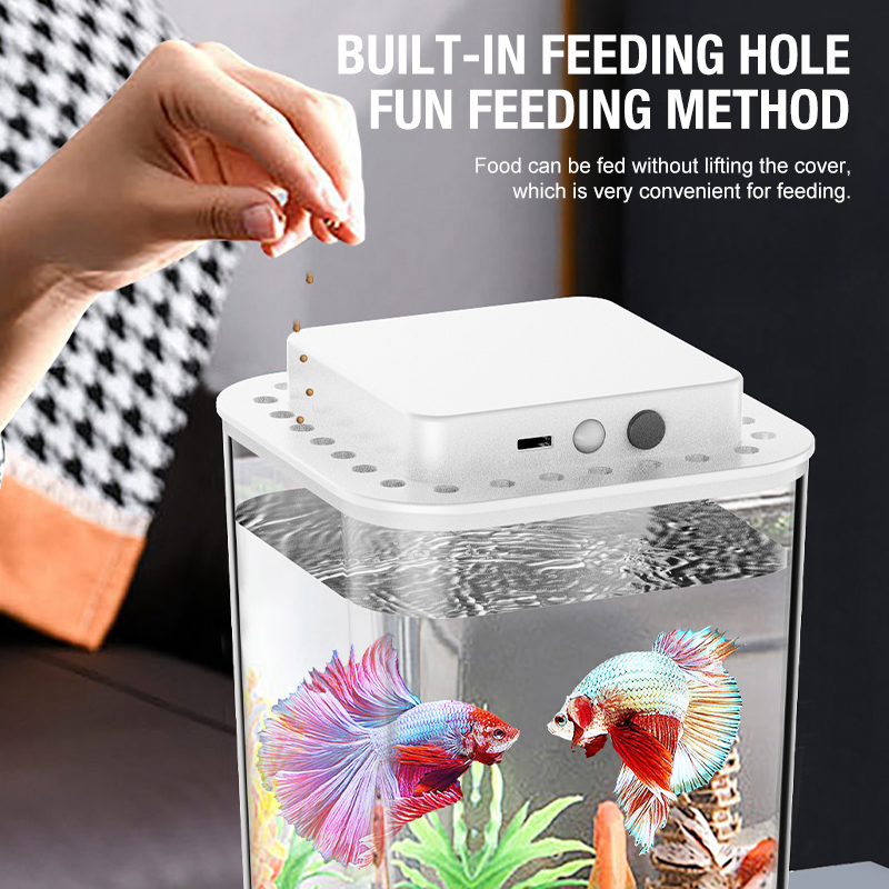 Desktop fish tank, new aquariu - огляд і ціна Aquarium Fish Jar