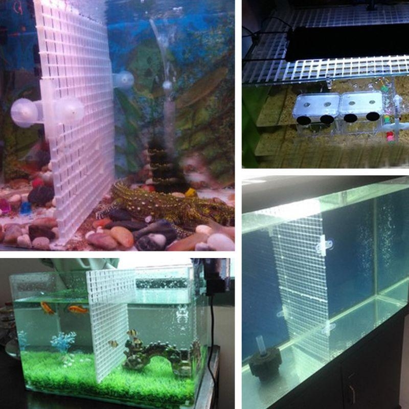 Aquarium Bottom Plate Fish for - огляд і ціна Aquarium Fish For Sale