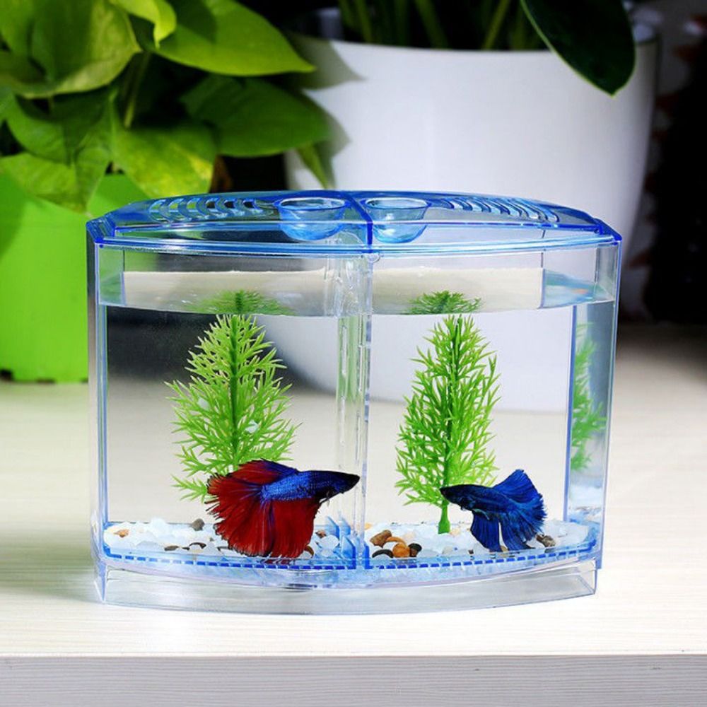 Transparent Betta Fish Tank, D - огляд і ціна Aquarium Fish Jar