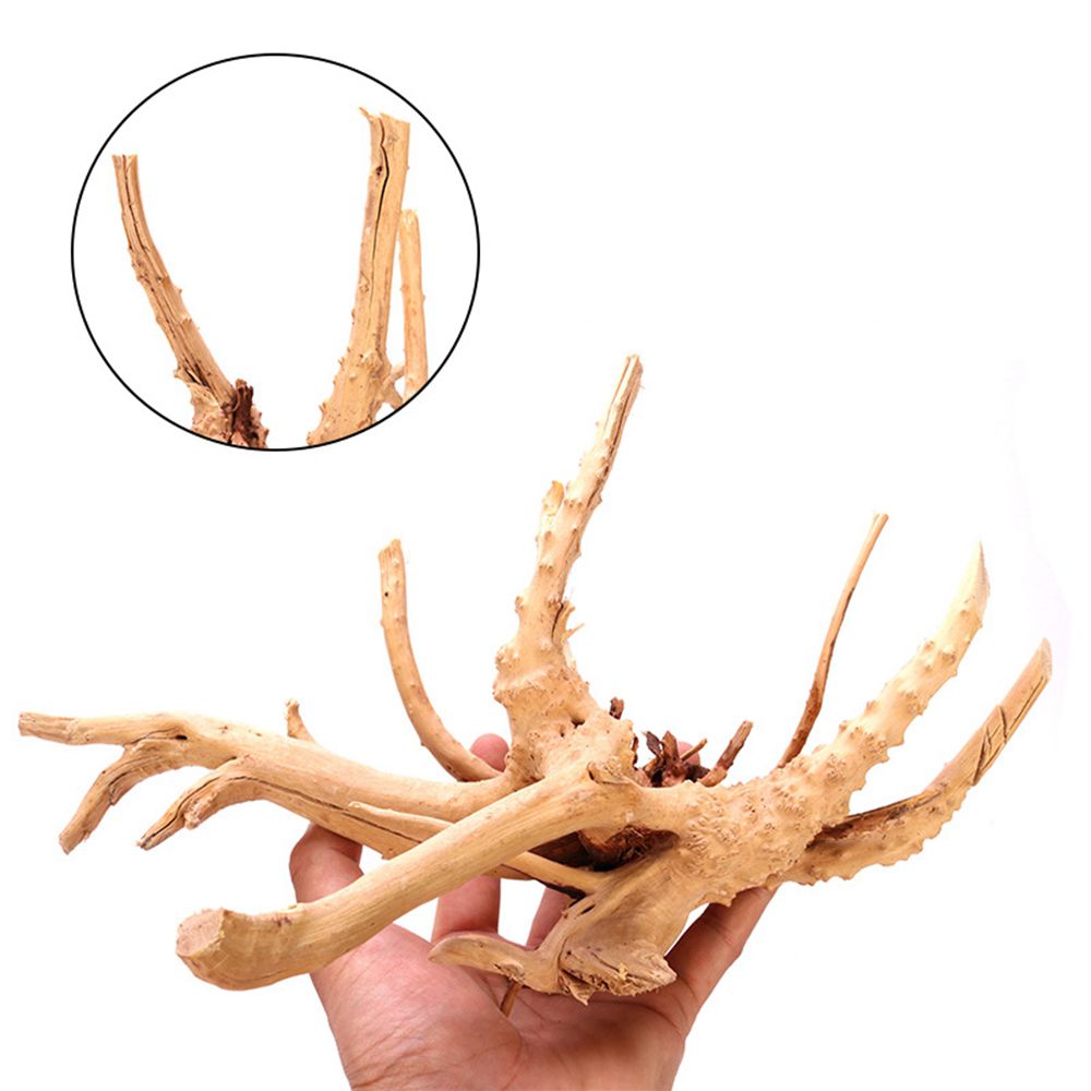 1 Pcs Wood Reptile Fish Tank O - огляд і ціна Aquarium Fish Diseases