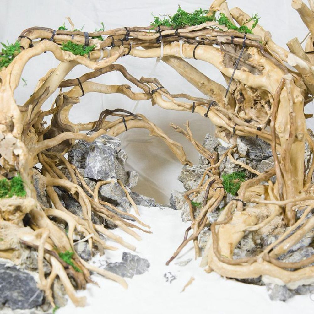 1 Pcs Wood Reptile Fish Tank O - огляд і ціна Aquarium Fish Diseases