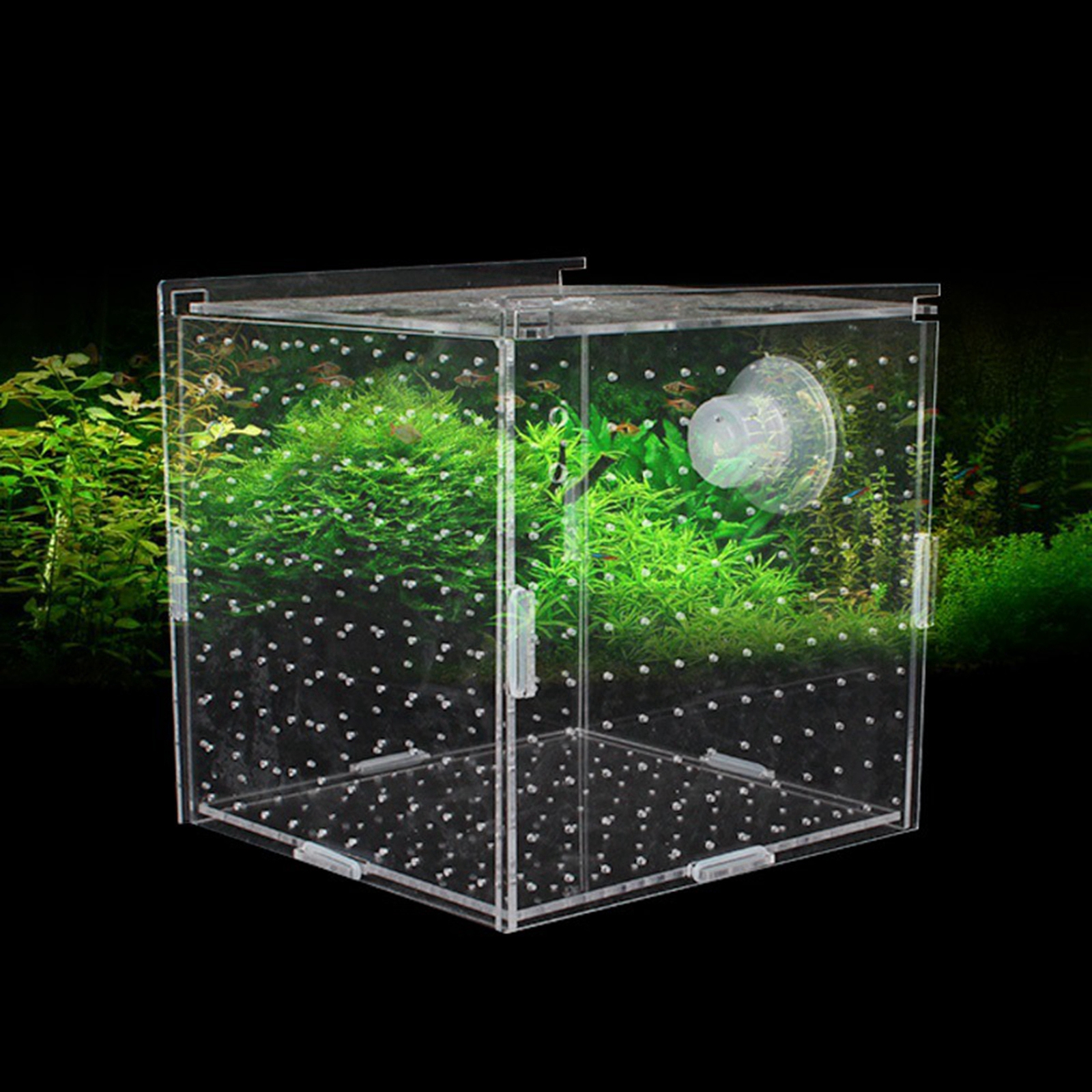 Fish Breeder Box Clear Durable - огляд і ціна Aquarium Fish Jar