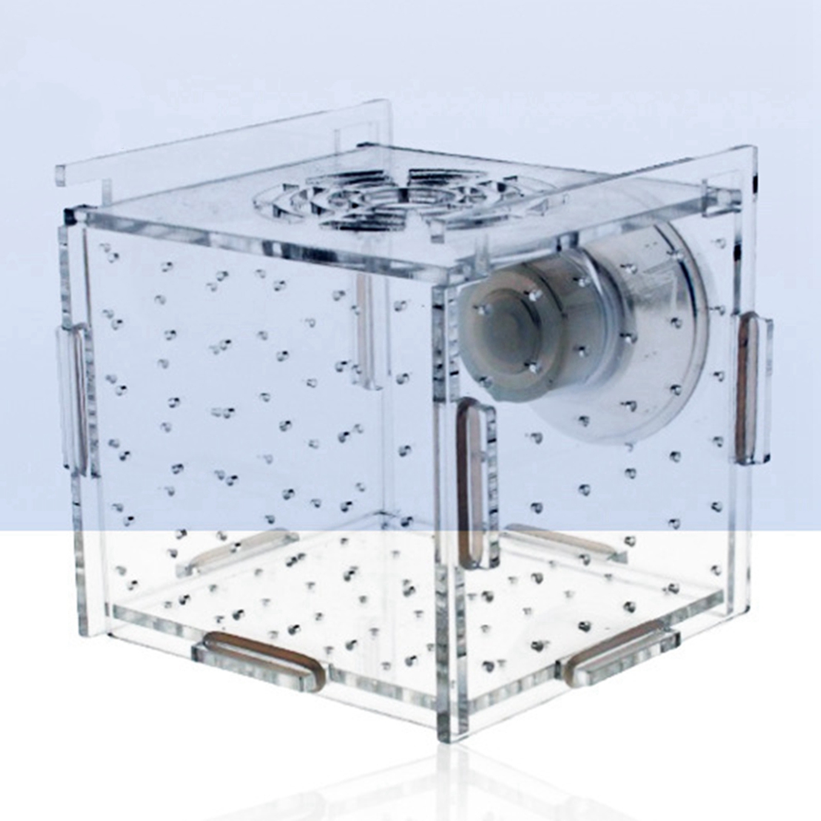 Fish Breeder Box Clear Durable - огляд і ціна Aquarium Fish Jar
