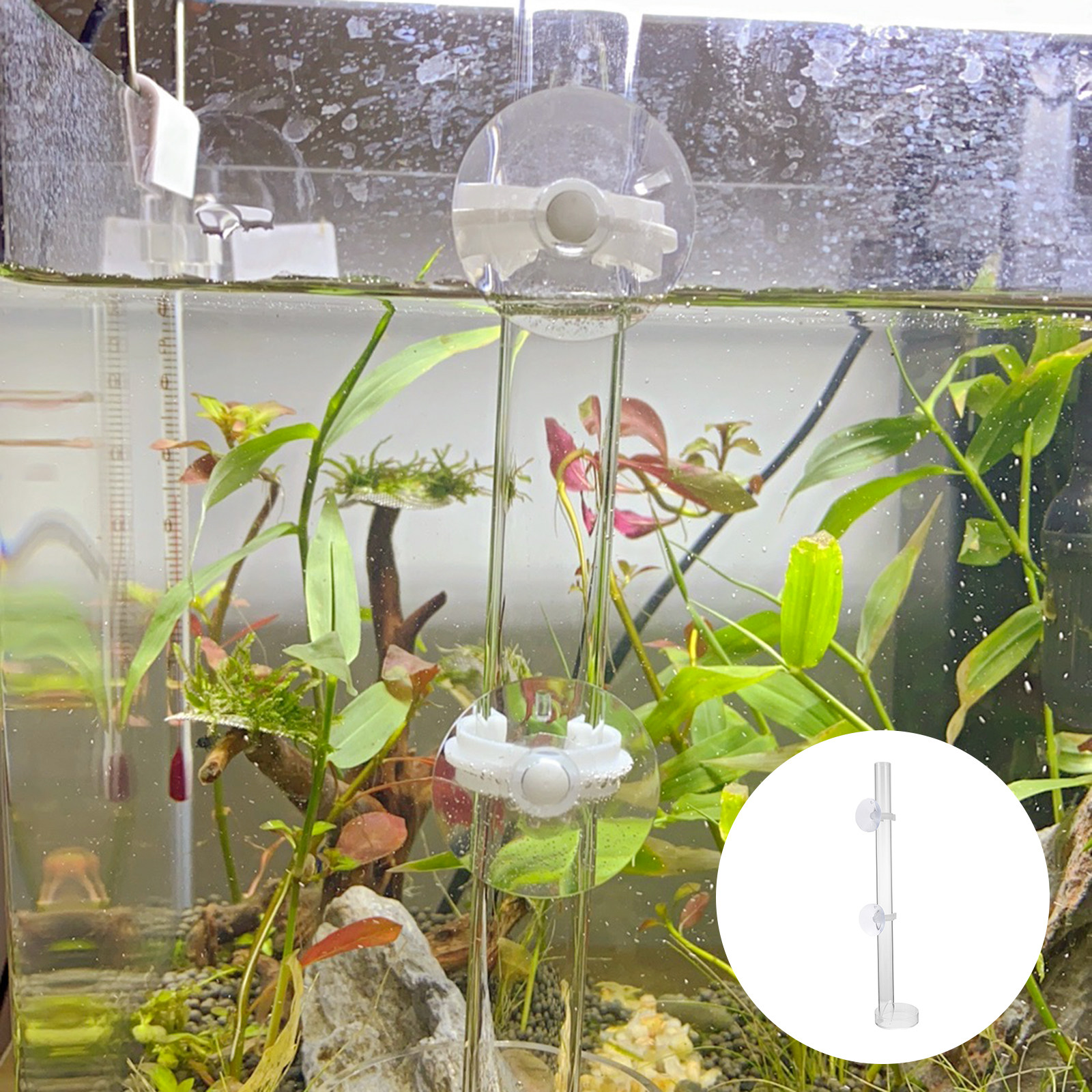 1Set Transparent Acrylic Aquar - огляд і ціна Aquarium Fish Delivery