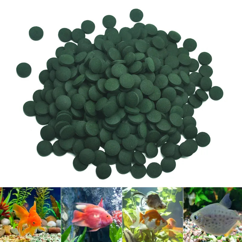 100/500/1000PCS Spirulina Flak - огляд і ціна Fish Food Flake