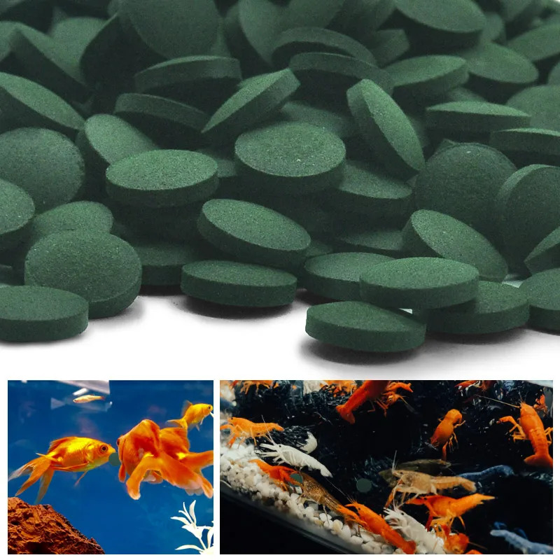 100/500/1000PCS Spirulina Flak - огляд і ціна Fish Food Flake