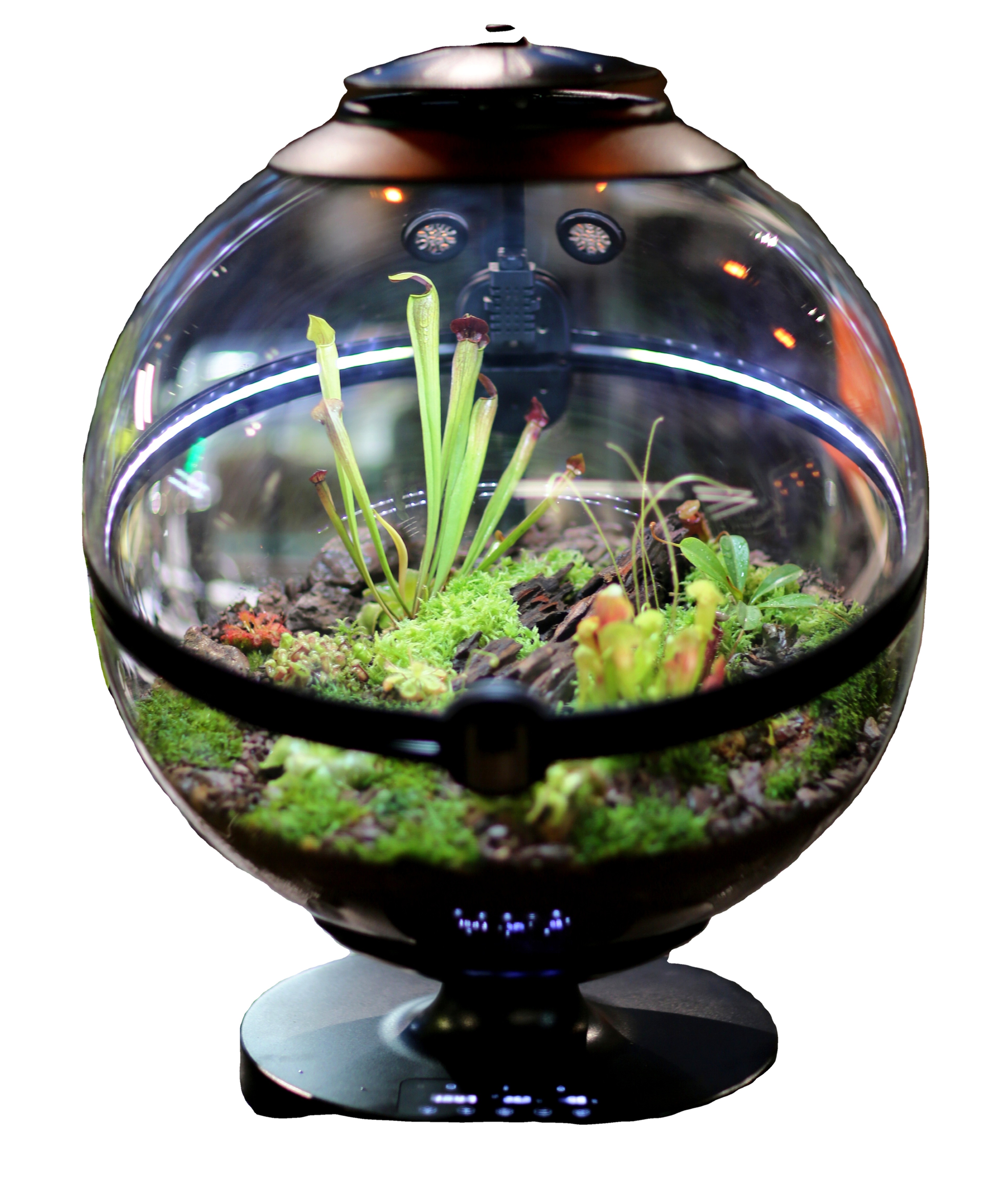 Hot Sales Acrylic Material  Ba - огляд і ціна Aquarium Fish For Sale