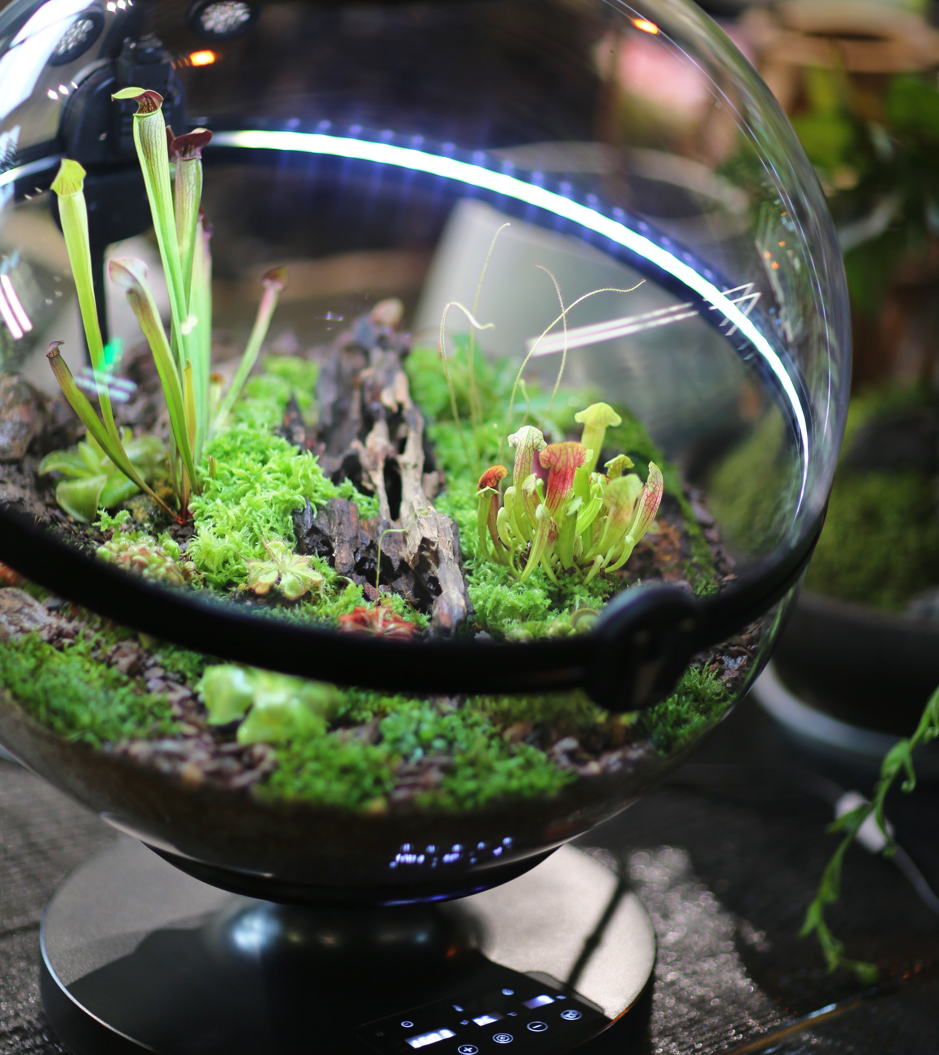 Hot Sales Acrylic Material  Ba - огляд і ціна Aquarium Fish For Sale