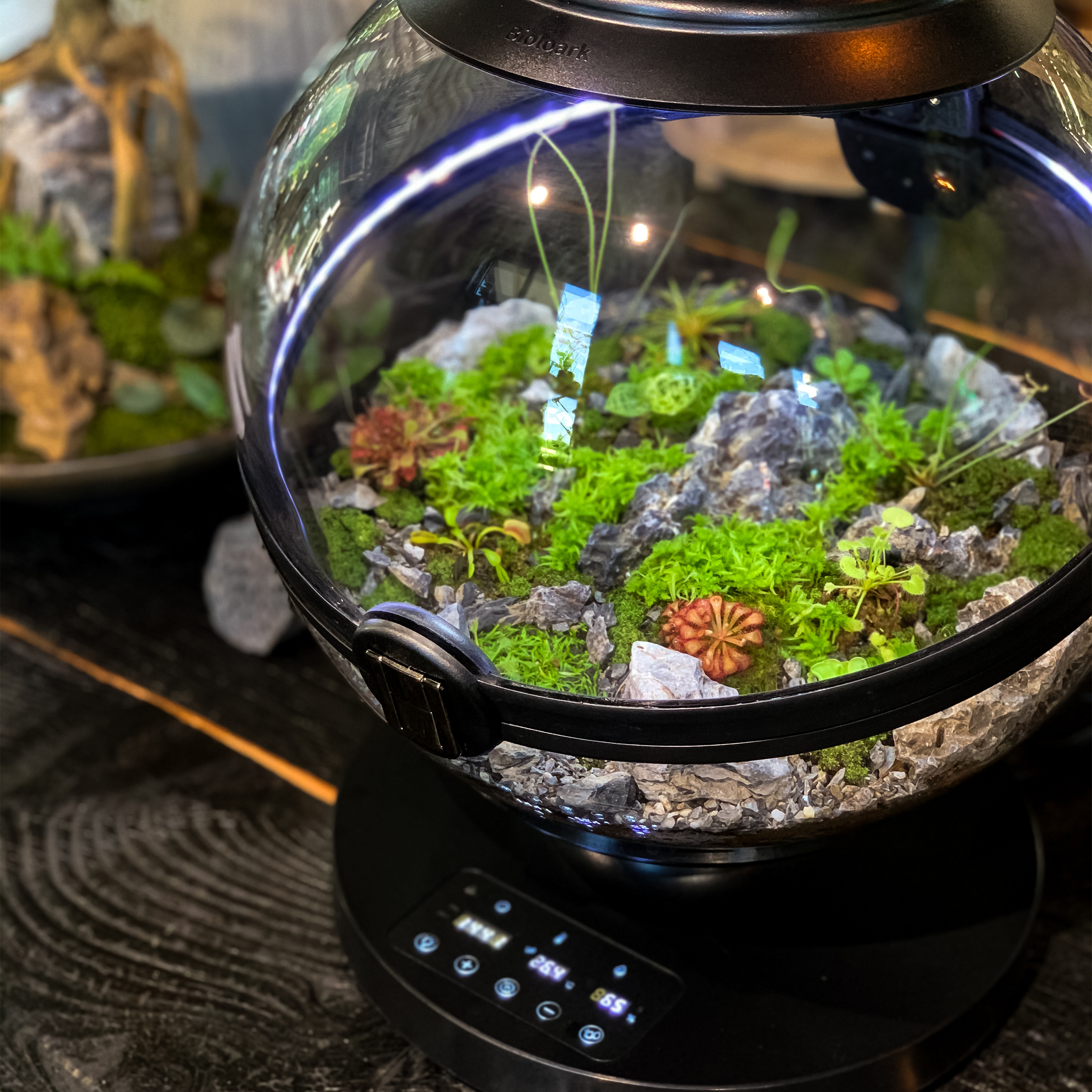 Hot Sales Acrylic Material  Ba - огляд і ціна Aquarium Fish For Sale