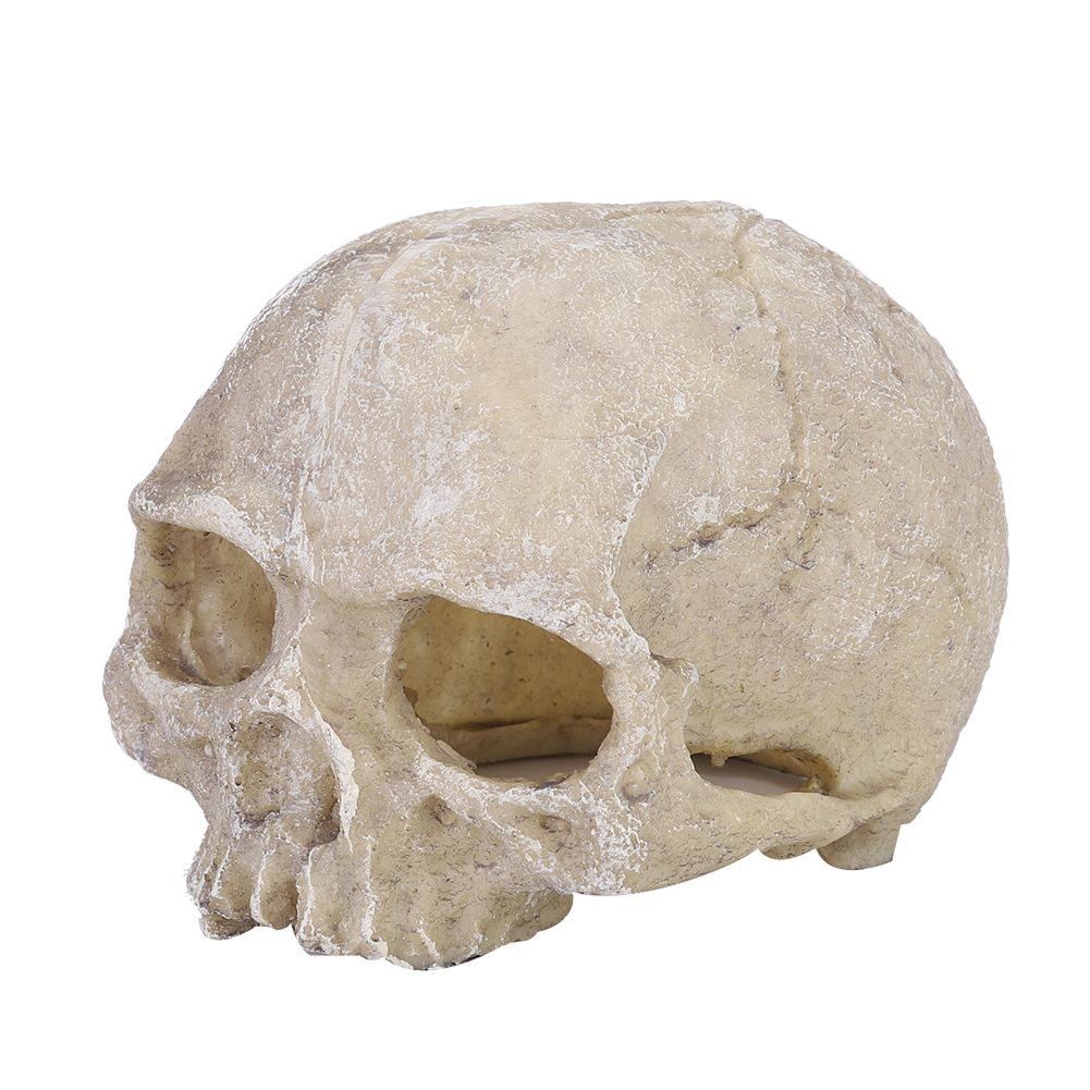 Resin Simulated Head Bone Skul - огляд і ціна Aquarium Fish Hide