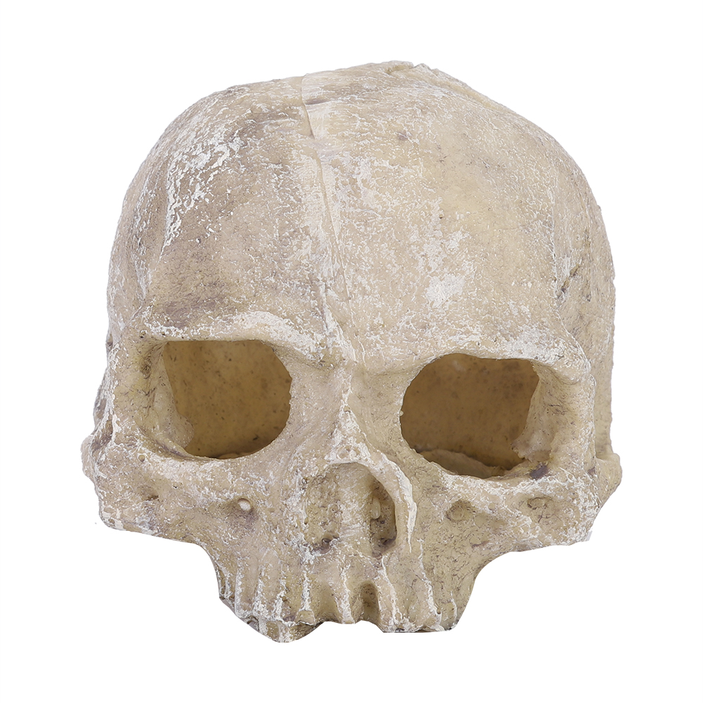 Resin Simulated Head Bone Skul - огляд і ціна Aquarium Fish Hide