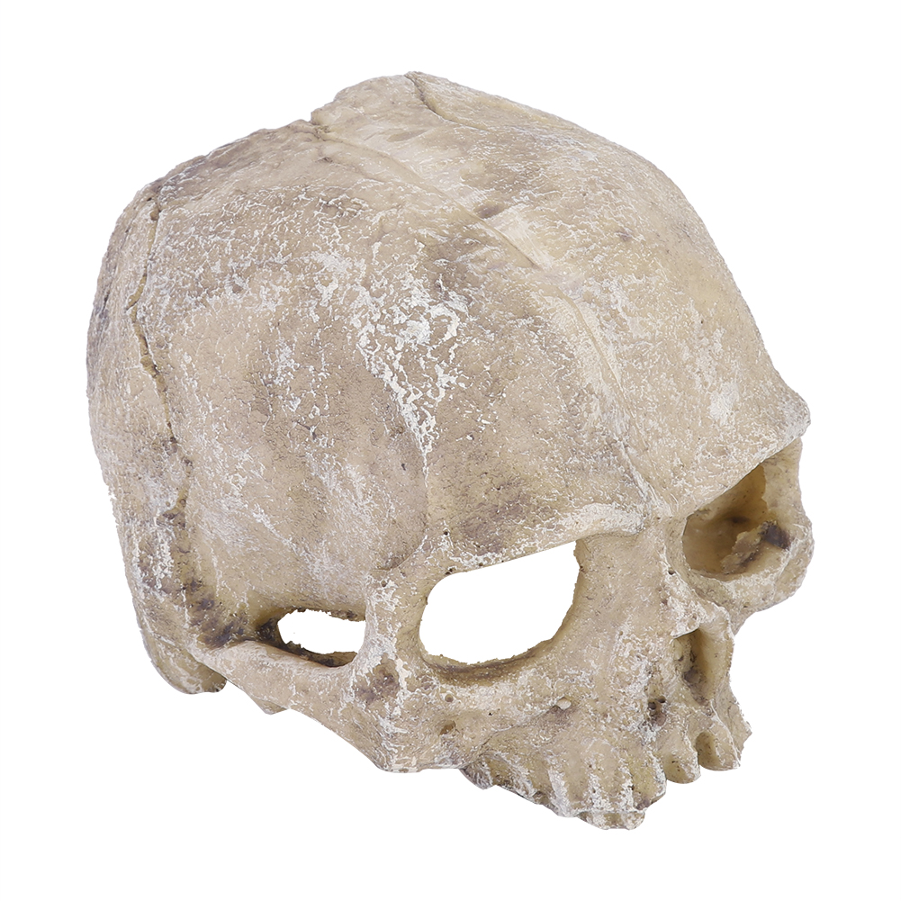 Resin Simulated Head Bone Skul - огляд і ціна Aquarium Fish Hide